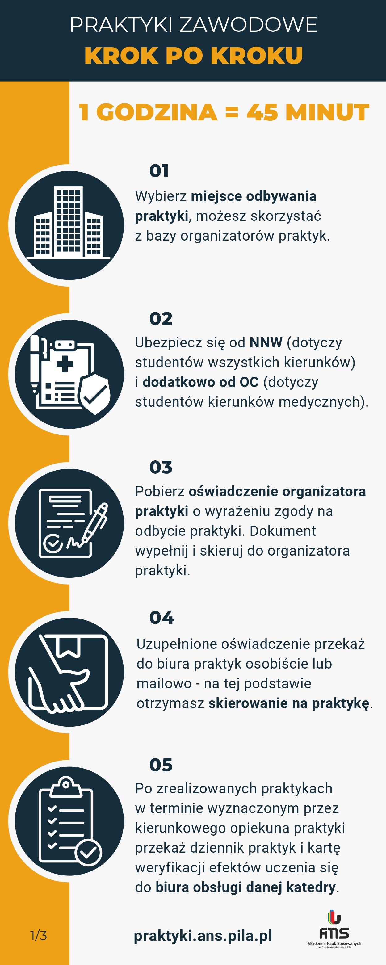 infografika_praktyki_pages-to-jpg-0001.jpg